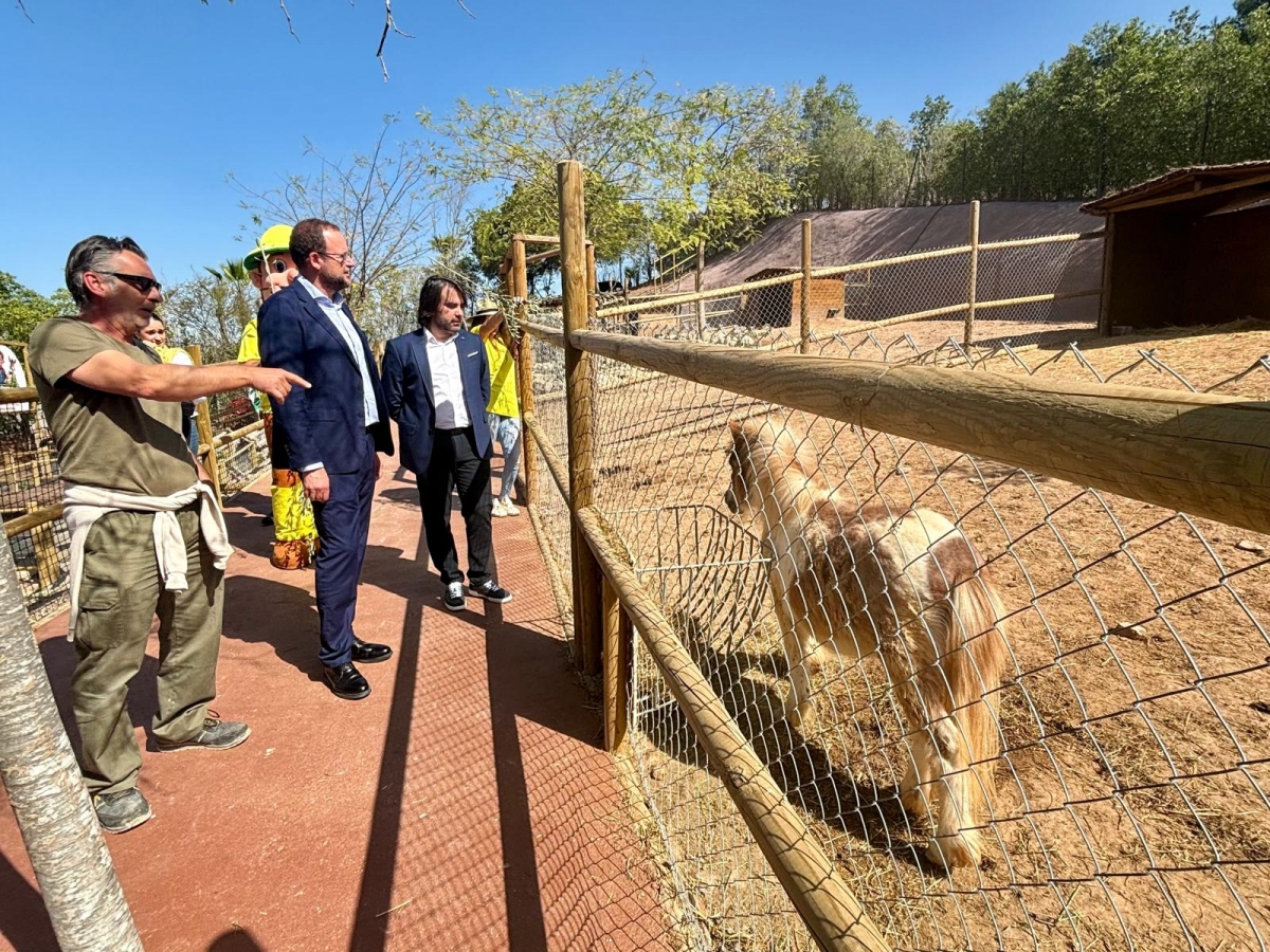  - Foto: AYTO. MURCIA