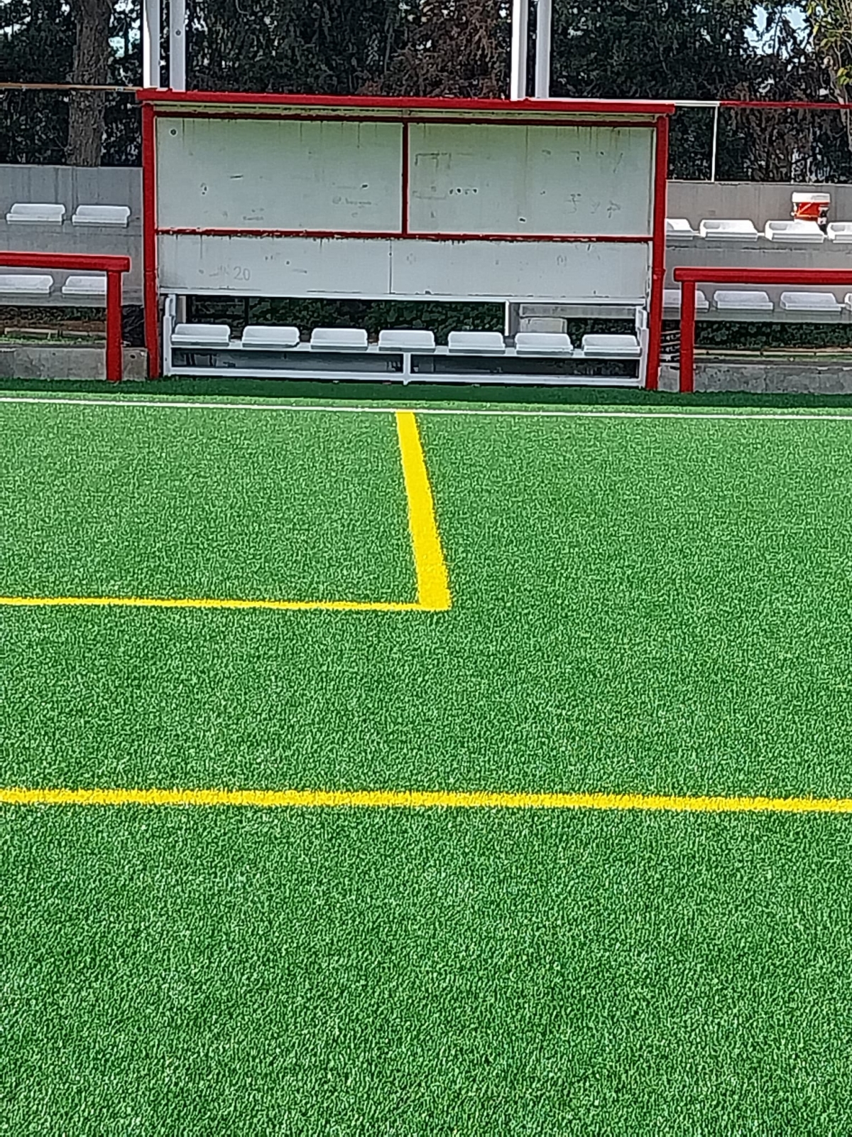  - Foto: AYTO. MURCIA