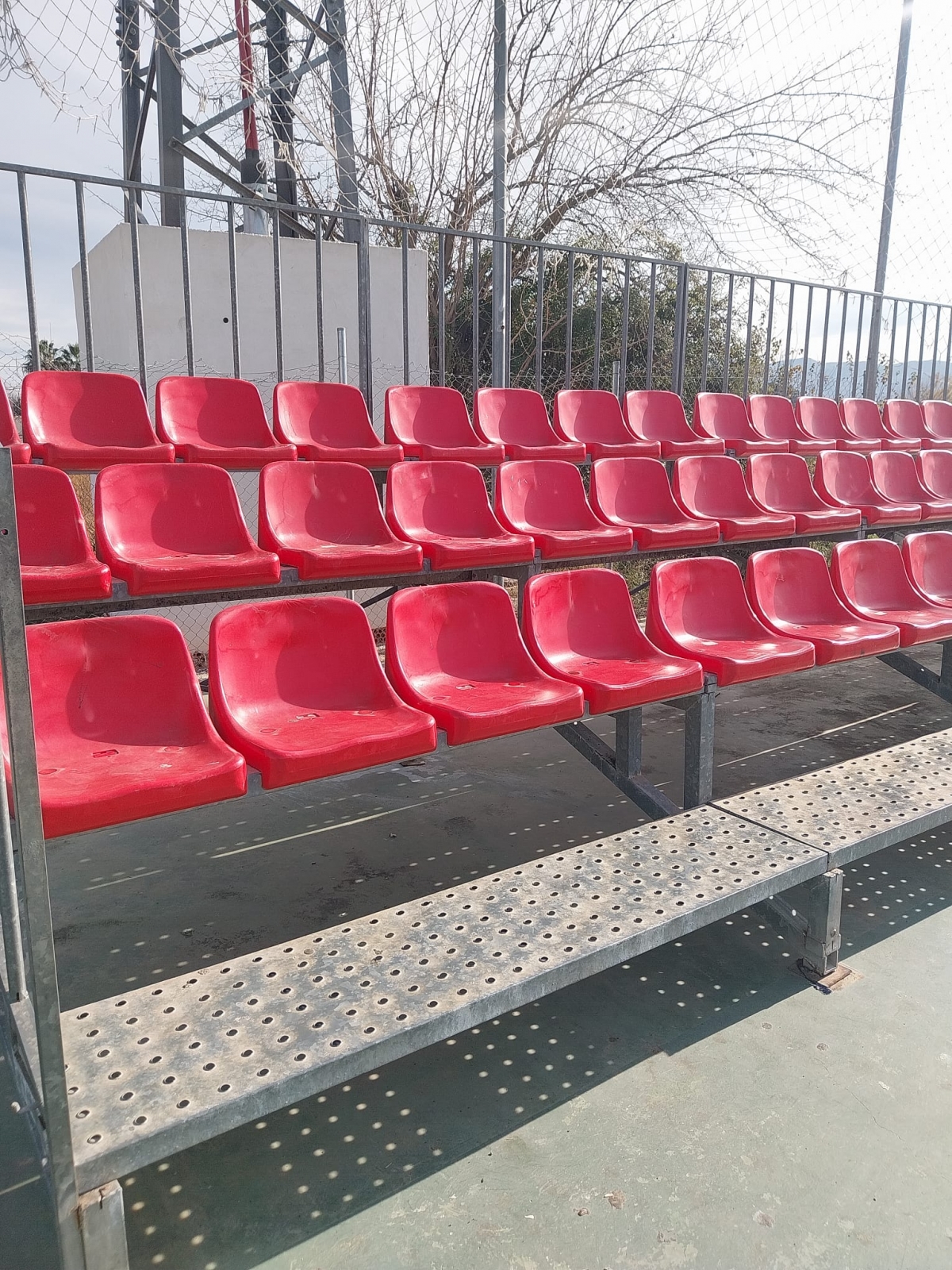  - Foto: AYTO. MURCIA