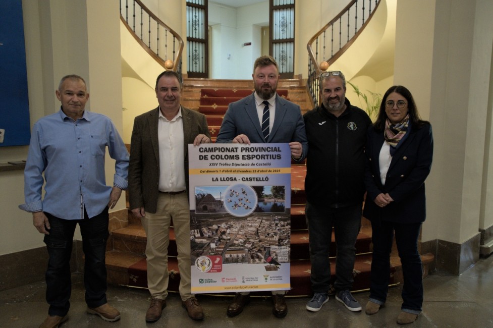  - Diputación de Castellón