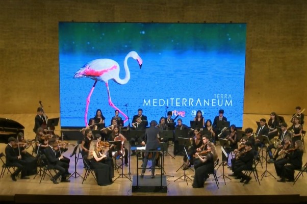 Casa Mediterráneo participará en el mes de la cultura española de la embajada de Cuba