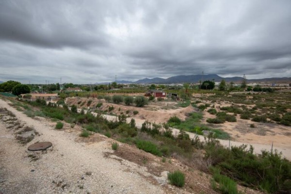Adif expropiará 20 fincas en Elche y 10 en Crevillent para suprimir pasos a nivel entre El Reguerón y Alicante 