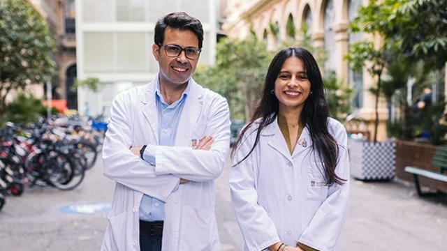 Identifican el papel clave de una proteína en el desarrollo pulmonar humano