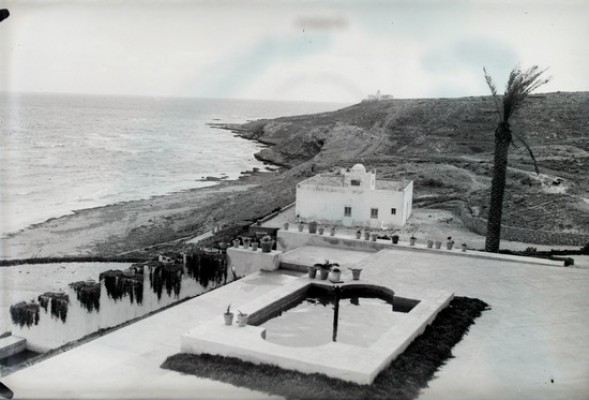 AHSA insta a Costas a suplir el plan del litoral sur de Playa de San Juan por su restauración ecológica 
