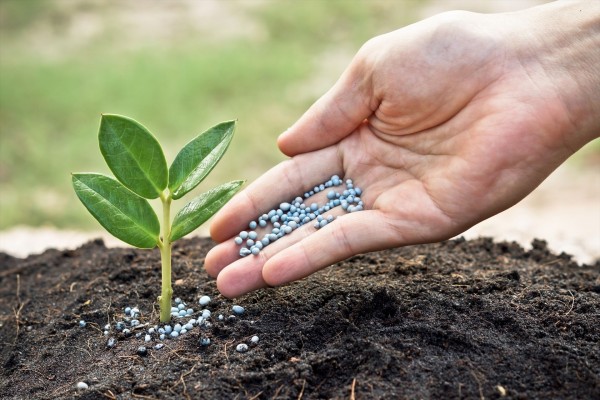 La Unió denuncia que el precio de los fertilizantes nitrogenados crece un 12% en el último año