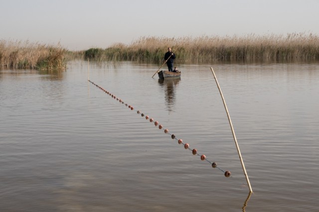 El Consell permite temporalmente la apertura continua de las compuertas de la Albufera