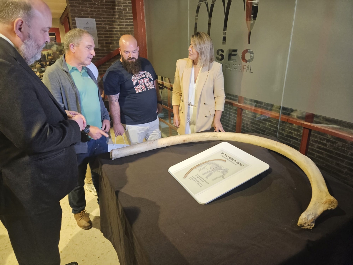  - FOTO: AYTO CARTAGENA