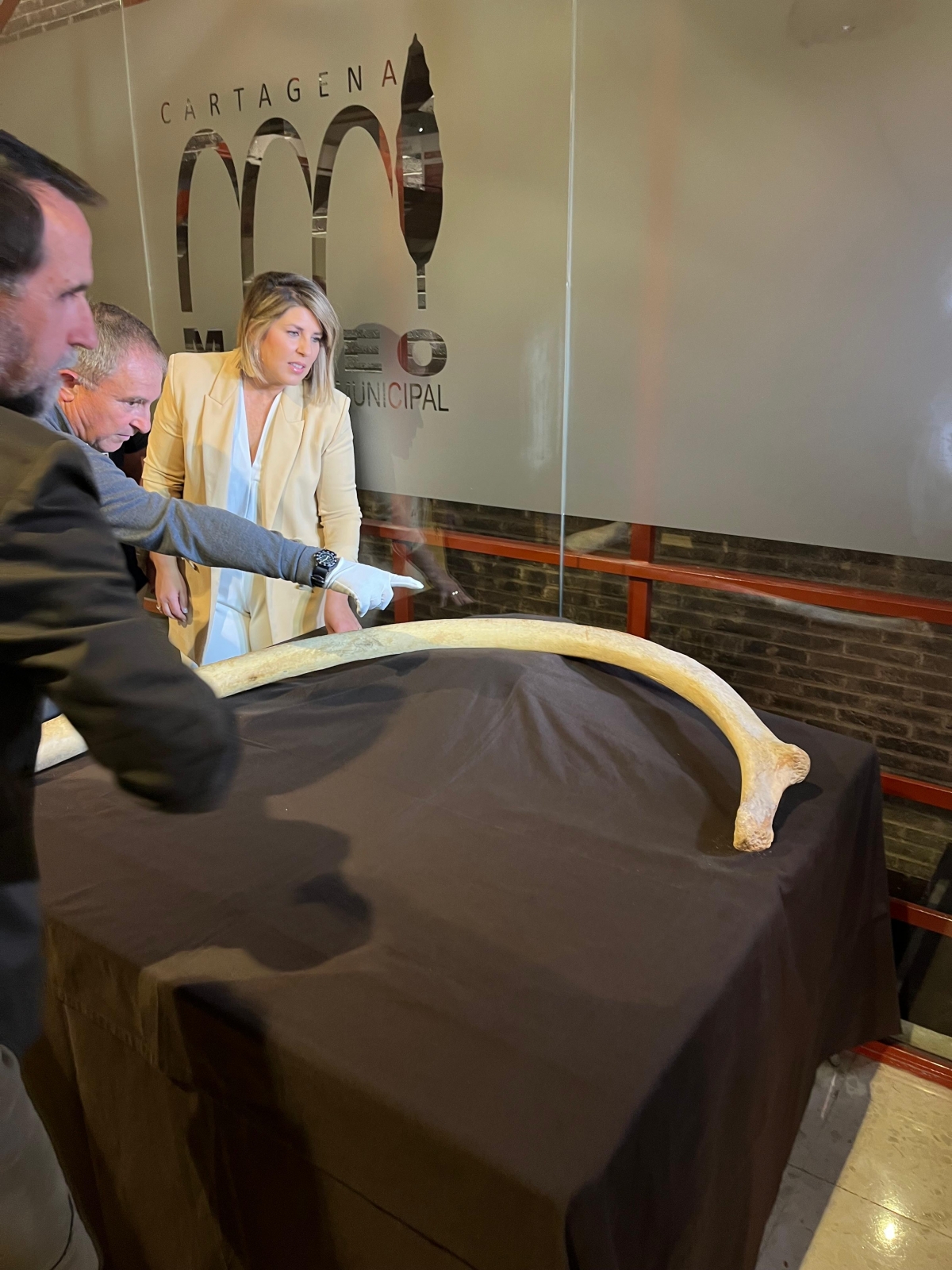  - FOTO: AYTO CARTAGENA