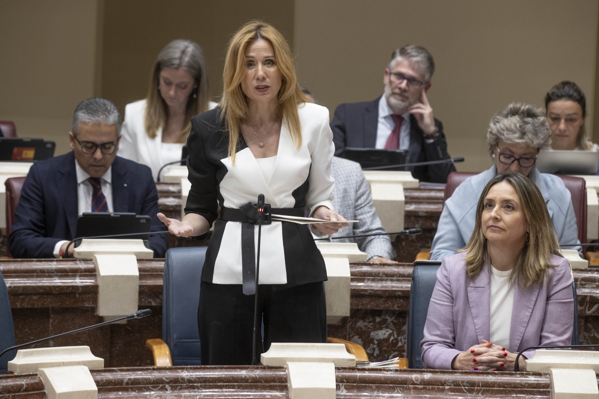 Marisa López Aragón, consejera de Empresa. - Foto: EFE/MARCIAL GUILLÉN Marisa López Aragón, consejera de Empresa.