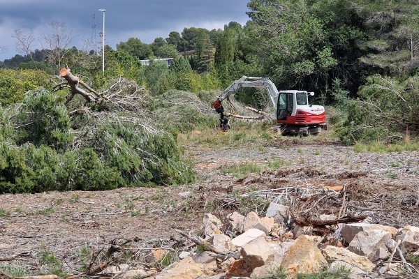 Pistoletazo de salida a las obras de la Ciudad Deportiva del Castellón