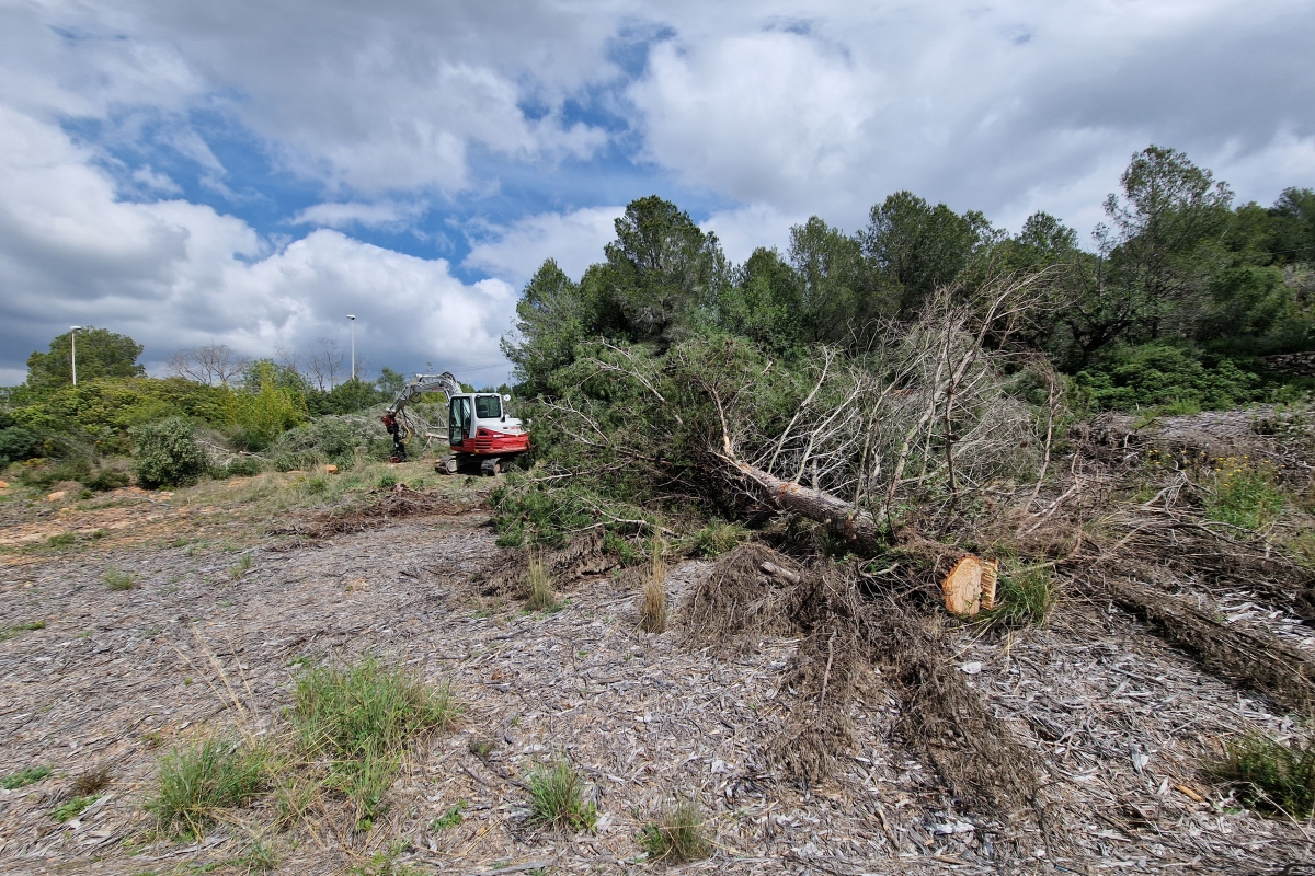  - Foto: ANTONIO PRADAS