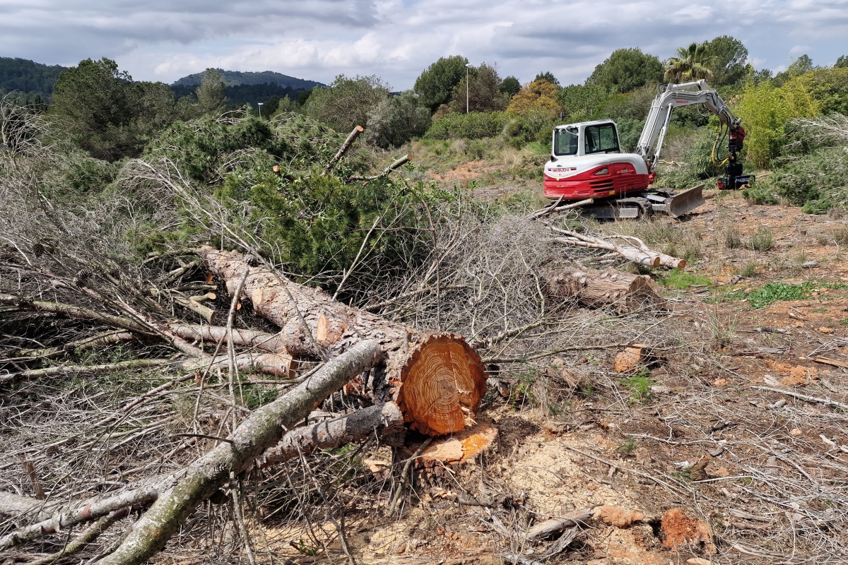  - Foto: ANTONIO PRADAS