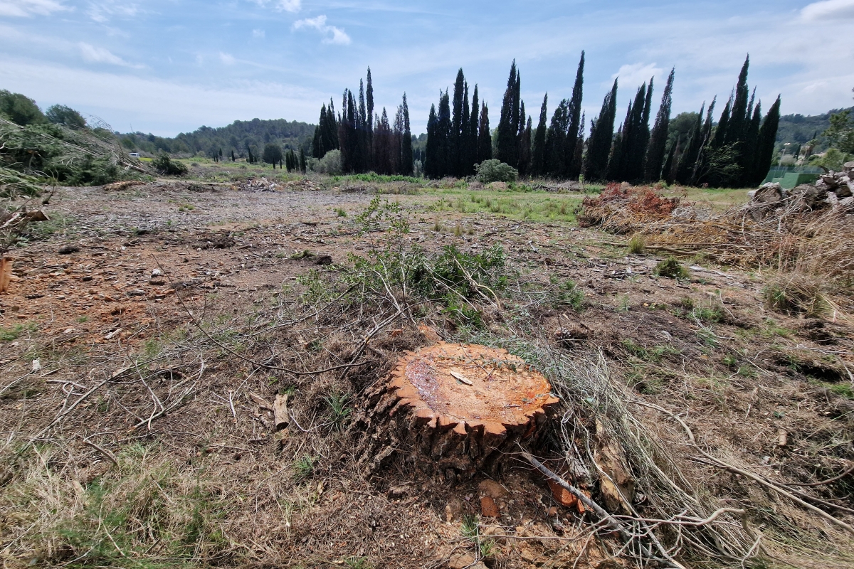  - Foto: ANTONIO PRADAS