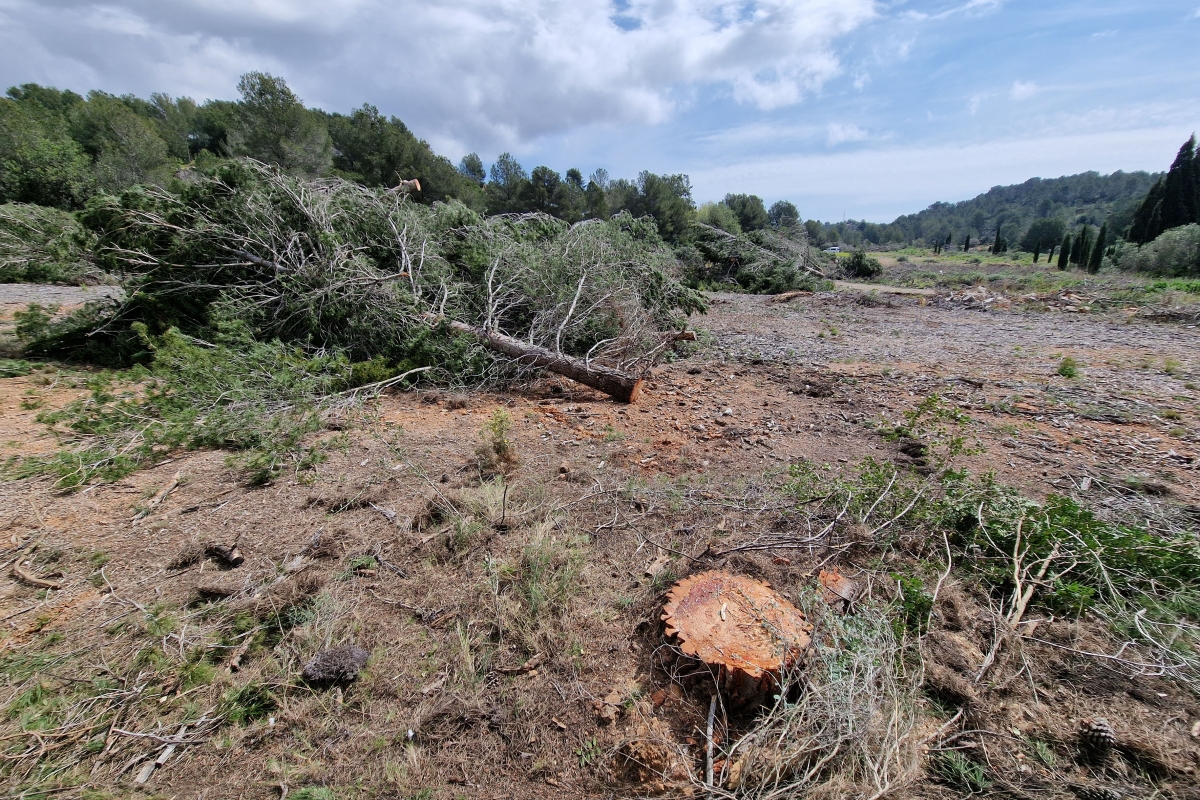  - Foto: ANTONIO PRADAS