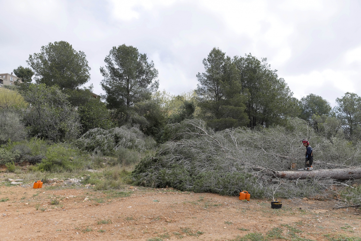  - Foto: ANTONIO PRADAS