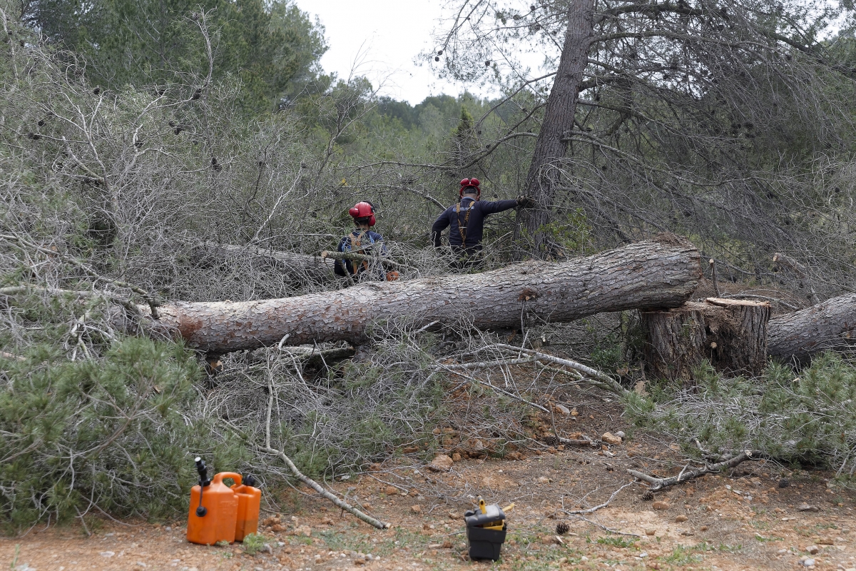  - Foto: ANTONIO PRADAS