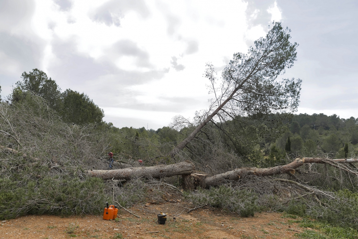  - Foto: ANTONIO PRADAS