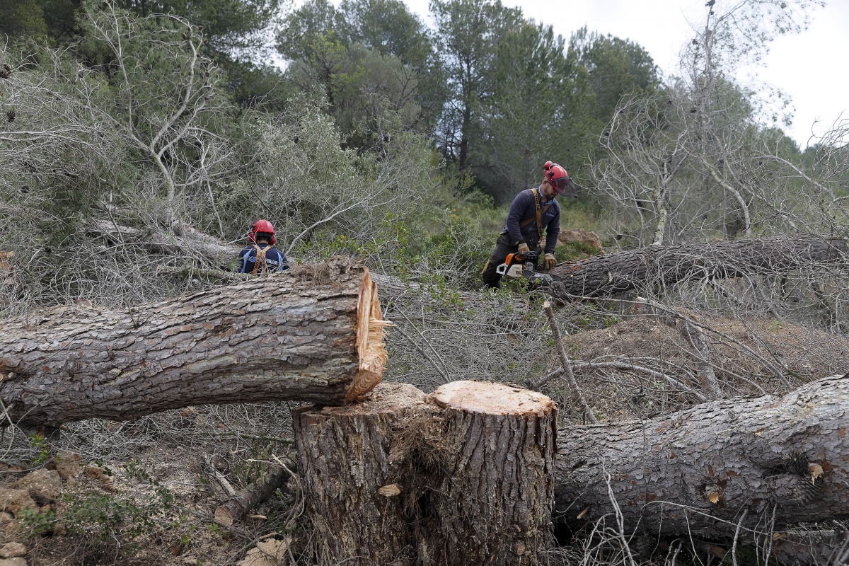  - Foto: ANTONIO PRADAS