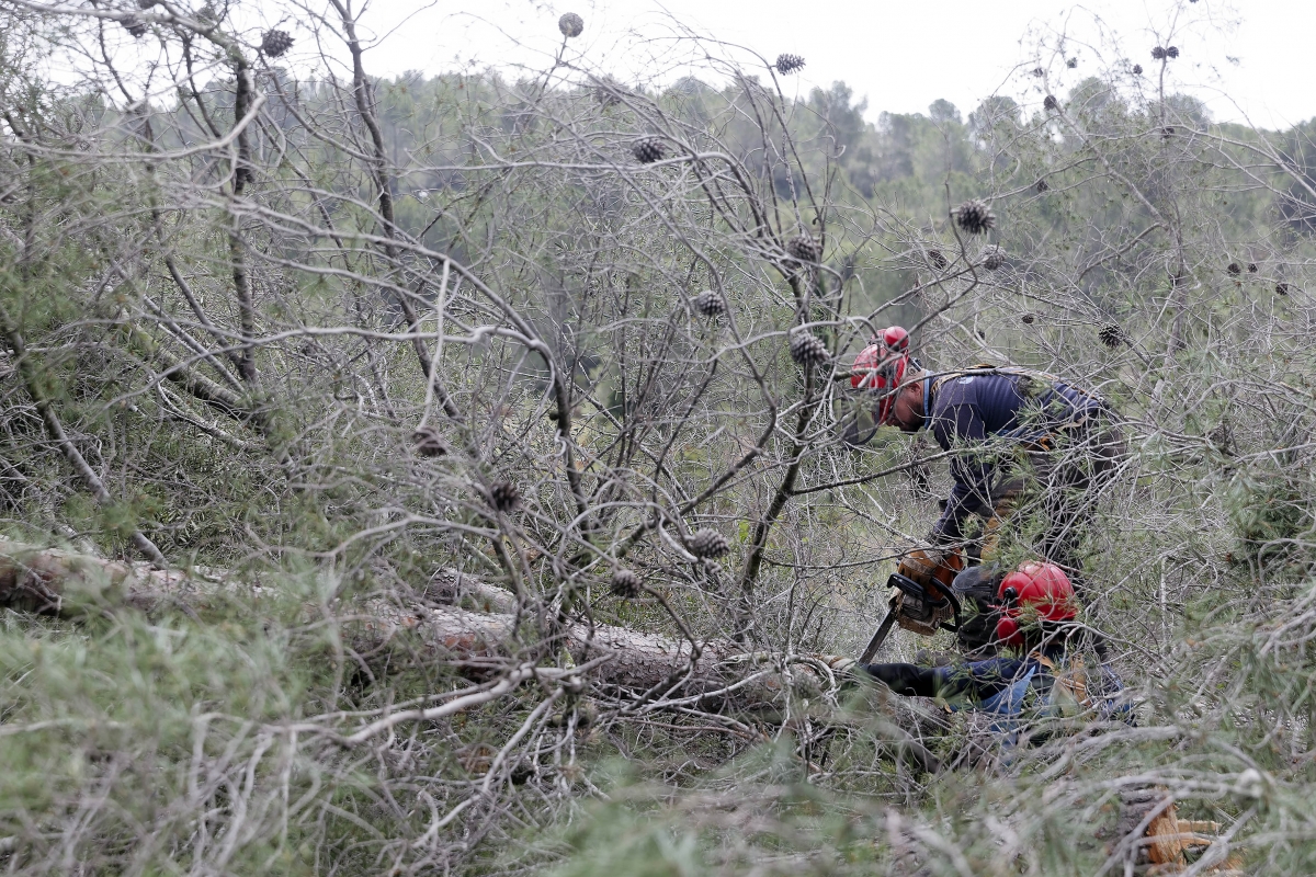  - Foto: ANTONIO PRADAS