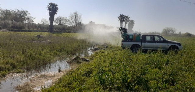 Castelló refuerza el tratamiento contra los mosquitos y aumenta la inversión hasta los 80.000 euros