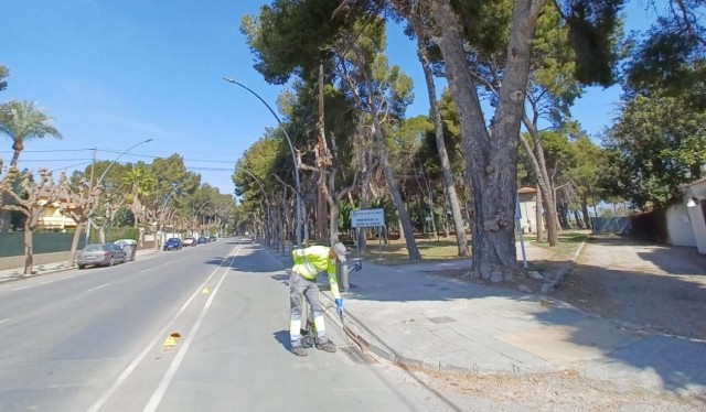 Vila-real inicia los tratamientos para prevenir los focos de mosquitos durante el verano