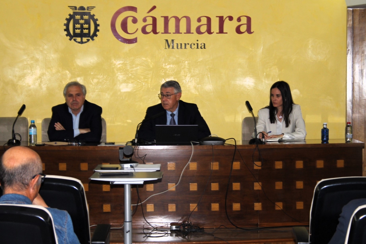 El presidente de la CHS admite que habrá menos agua del Trasvase Tajo-Segura en el próximo Plan de Cuenca
