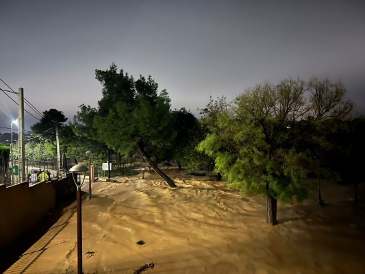 Femeval hace un llamamiento a empresas que tengan grúas y maquinaria para las evacuaciones
