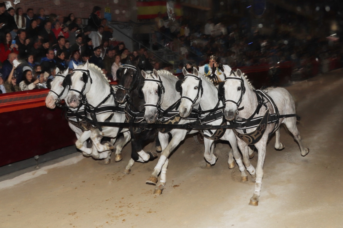  - Foto: MURCIA PLAZA