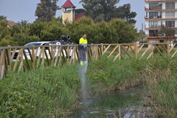 Burriana intensifica la prevención y el tratamiento contra mosquitos ante la llegada de la primavera