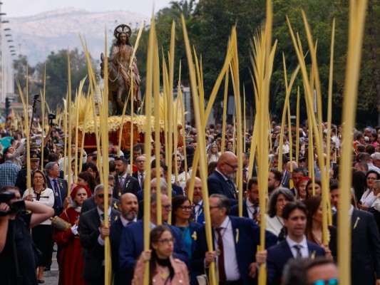 Cerca de 70.000 ilicitanos celebran con palmas blancas el tradicional Domingo de Ramos 