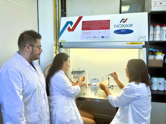  Ivace+i financia un nuevo sistema automatizado y sin químicos para proteger los cítricos de hongos y bacterias