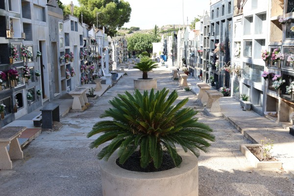 Sant Joan habilita un bus gratuito al cementerio y música en directo para el Día de Todos los Santos