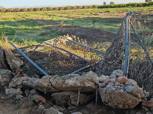 AVA-Asaja acusa a Gobierno y Consell de denegar ayudas a agricultores 