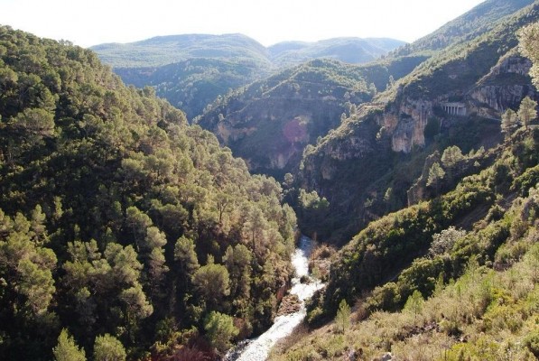 Medio Ambiente prohíbe el uso del fuego en terrenos forestales durante la Semana Santa y Pascua