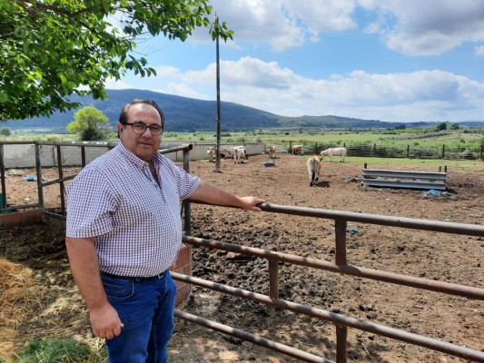 El Consell otorga 39,5 millones al Baix Maestrat para garantizar el acceso a los recursos sociales