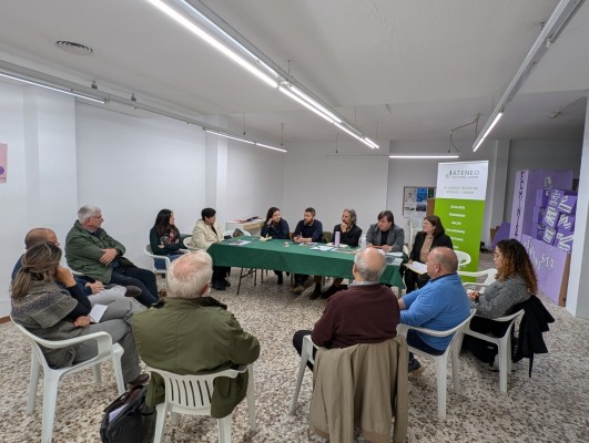 Municipios del Vinalopó muestran su preocupación por el auge de las plantas fotovoltaicas