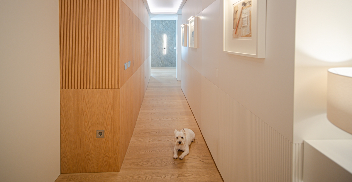 Reforma en casa de la Gran Vía de Murcia - Proyecto de Ignacio Dávalos Reforma en casa de la Gran Vía de Murcia