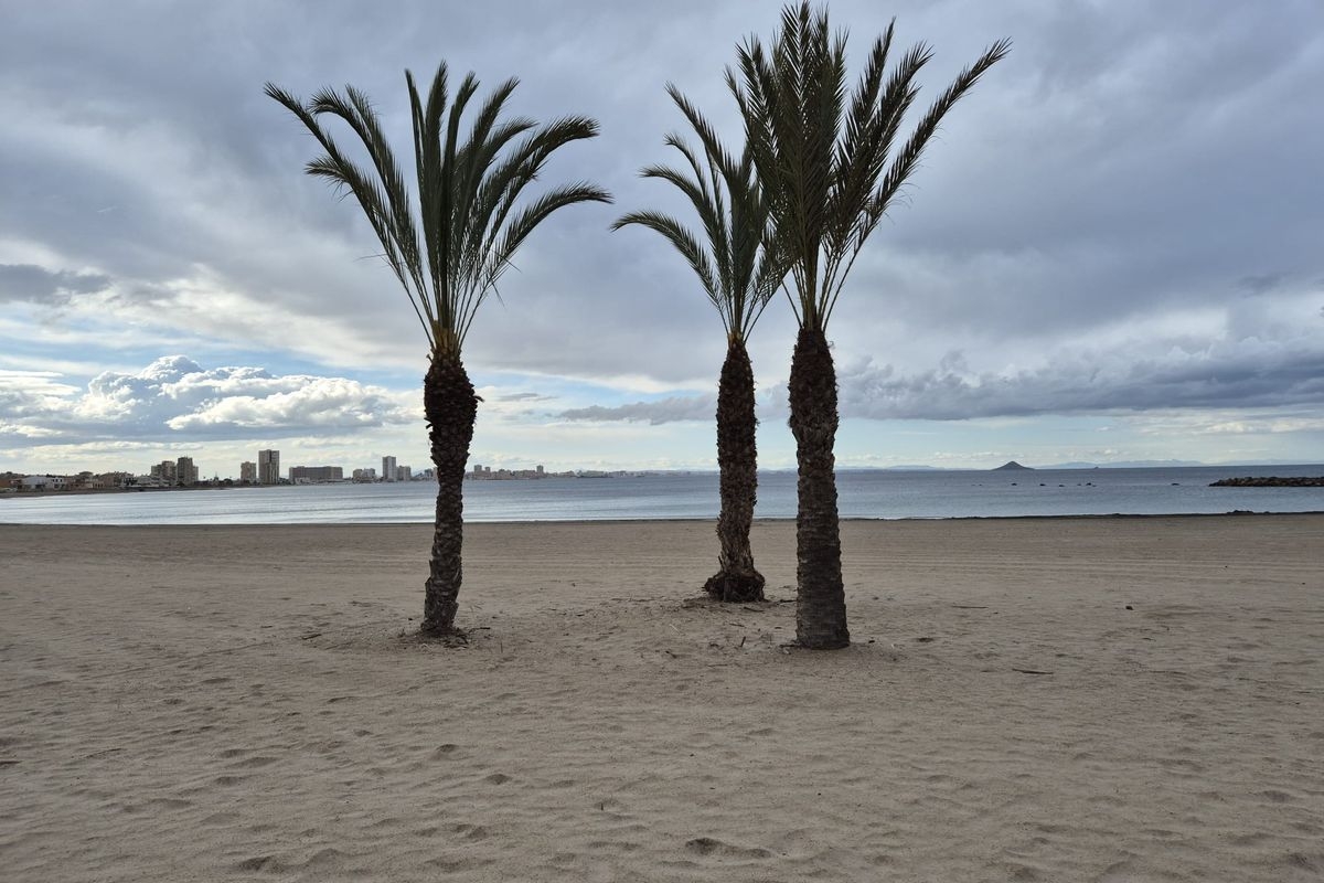  - Foto: AYTO. CARTAGENA