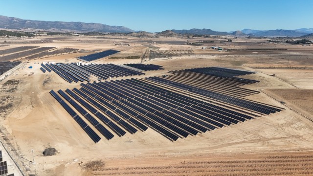 Awergy finaliza una planta solar de 5 MW en Pinoso, ultima 6MW en Elche y prevé 50 MW en la Comunitat