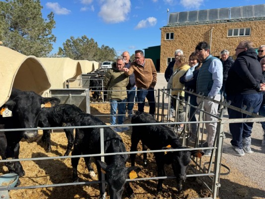 Agricultura reducirá el 50% de la carga burocrática a los ganaderos de la Comunitat Valenciana 