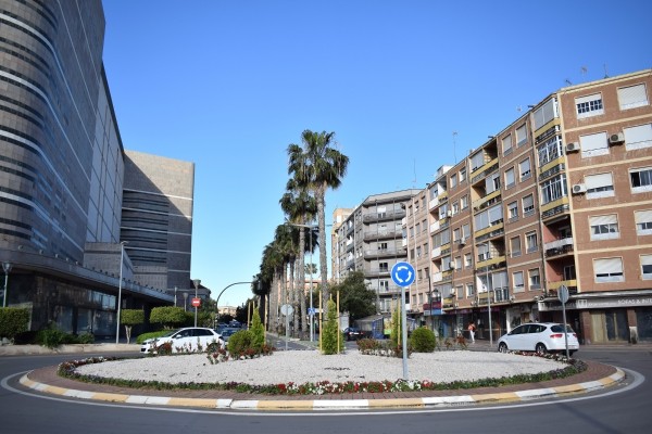 La rotonda en el cruce de Santiago Ramón y Cajal con Jorge Juan renueva la vegetación para mejorar la visibilidad