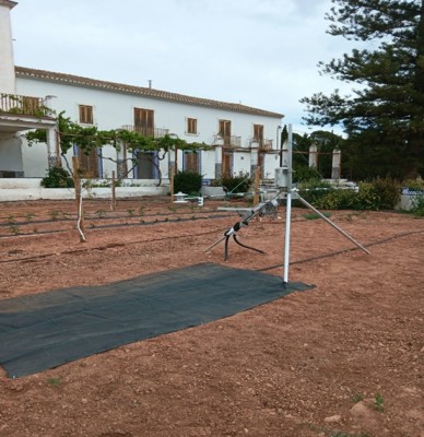 IVIA evalúa el efecto de diferentes coberturas en los suelos agrarios para lograr una producción más sostenible