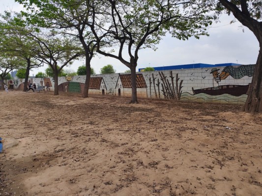 La Generalitat cede medio centenar de plantas para reconstruir jardín de un CEIP de Alfafar