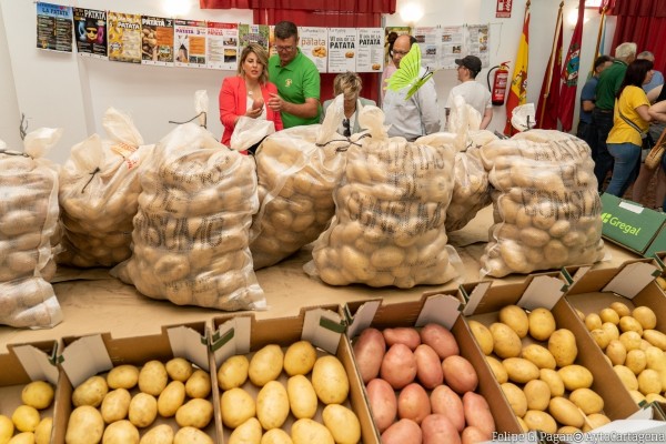La Patata Temprana del Campo de Cartagena da sus primeros pasos hacia el reconocimiento con sello de calidad