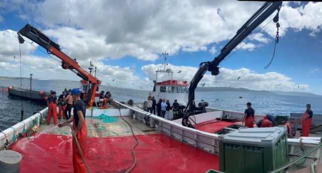 Grupo Ricardo Fuentes inicia la campaña de atún rojo salvaje en la almadraba de Barbate