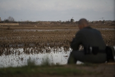 El nuevo PORN de l'Albufera encara su fase final: claves y cambios para el futuro del humedal