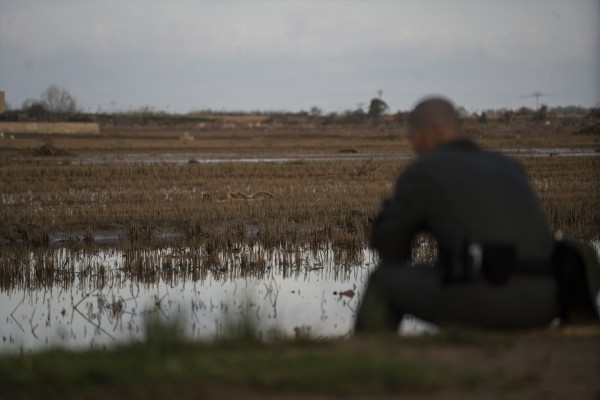 La contaminación microbiológica en la Albufera de València tras la Dana es 