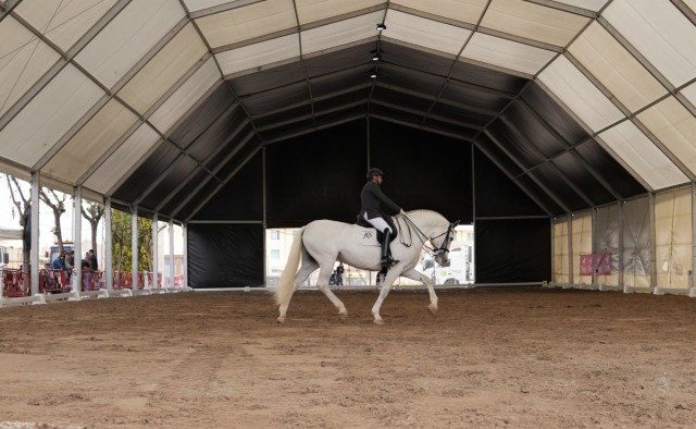 Vila-real acoge la II edición Concurso de Caballos de Pura Raza Española