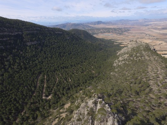 Cartografía, restauración y señalización para disfrutar sin dañar el Parque Regional de la Sierra del Carche
