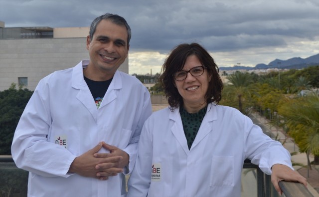 El General de Elche, Fisabio y la UMH investigan sobre la prevención de la diabetes tipo 1